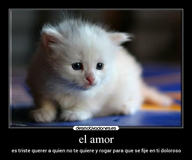el amor -