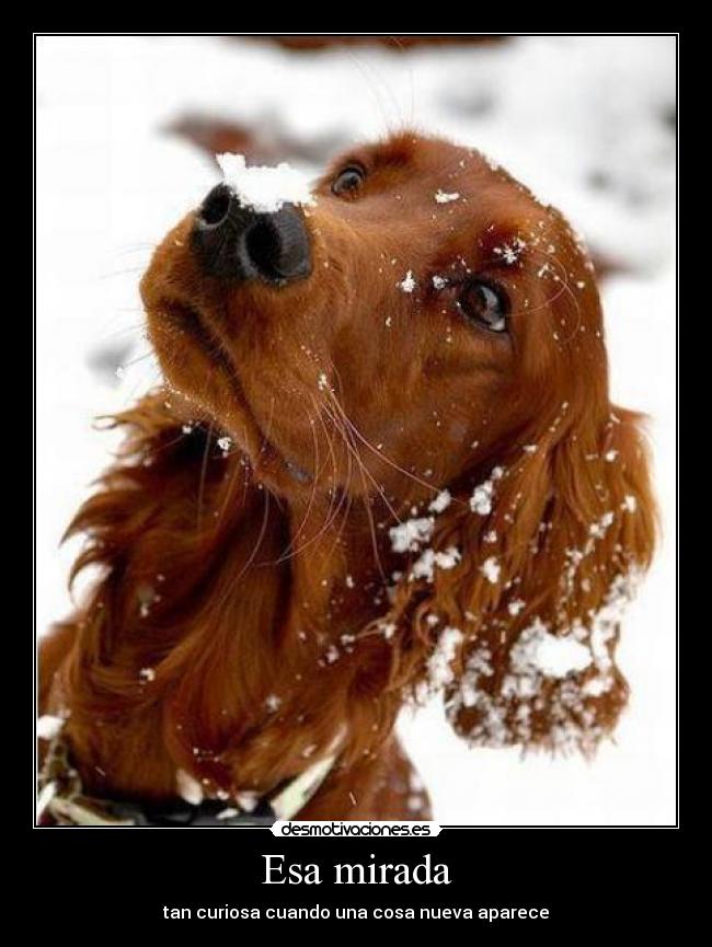 Esa mirada -