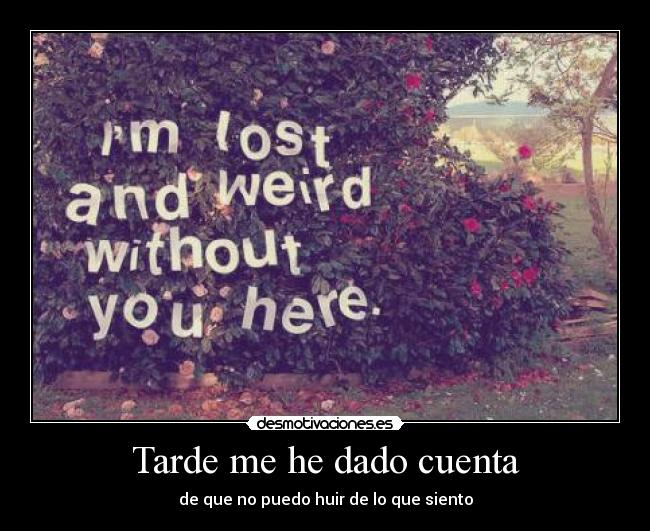 Tarde me he dado cuenta - de que no puedo huir de lo que siento