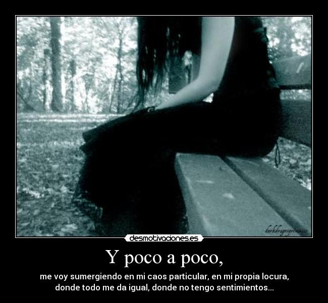 carteles caos locura bck desmotivaciones