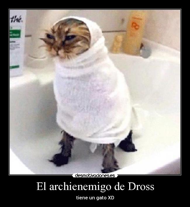El archienemigo de Dross - tiene un gato XD