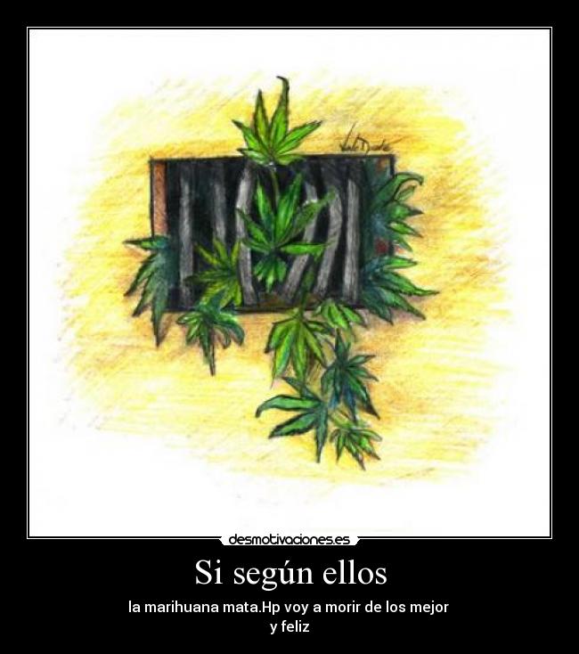 Si según ellos - la marihuana mata.Hp voy a morir de los mejor
y feliz