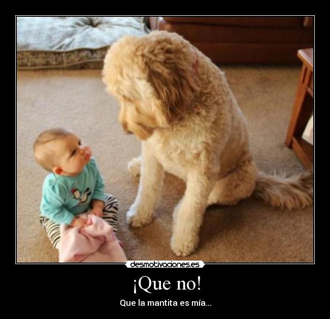 ¡Que no! -
