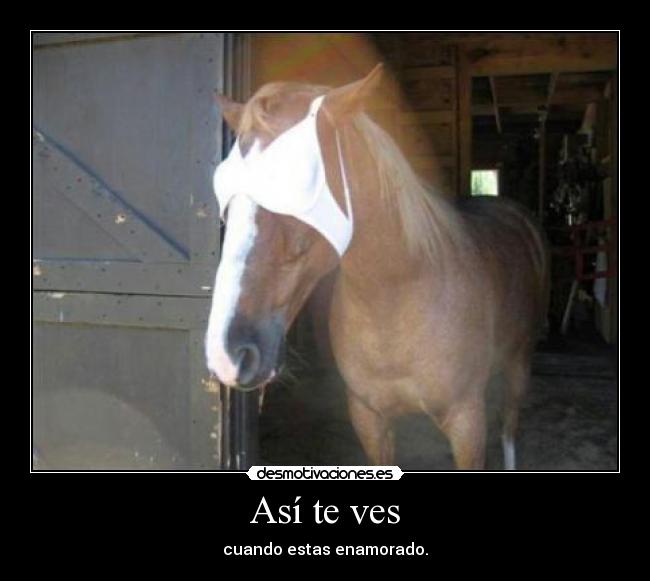 Así te ves - cuando estas enamorado.