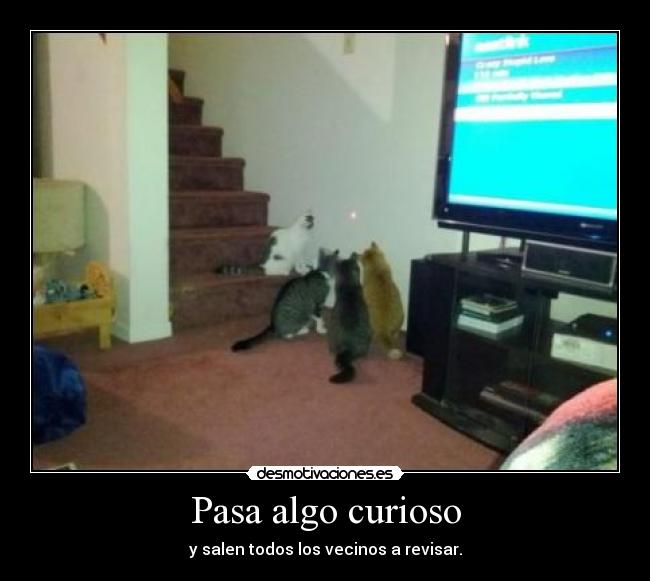 Pasa algo curioso - 
