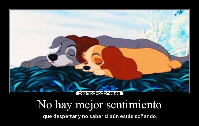 No hay mejor sentimiento -