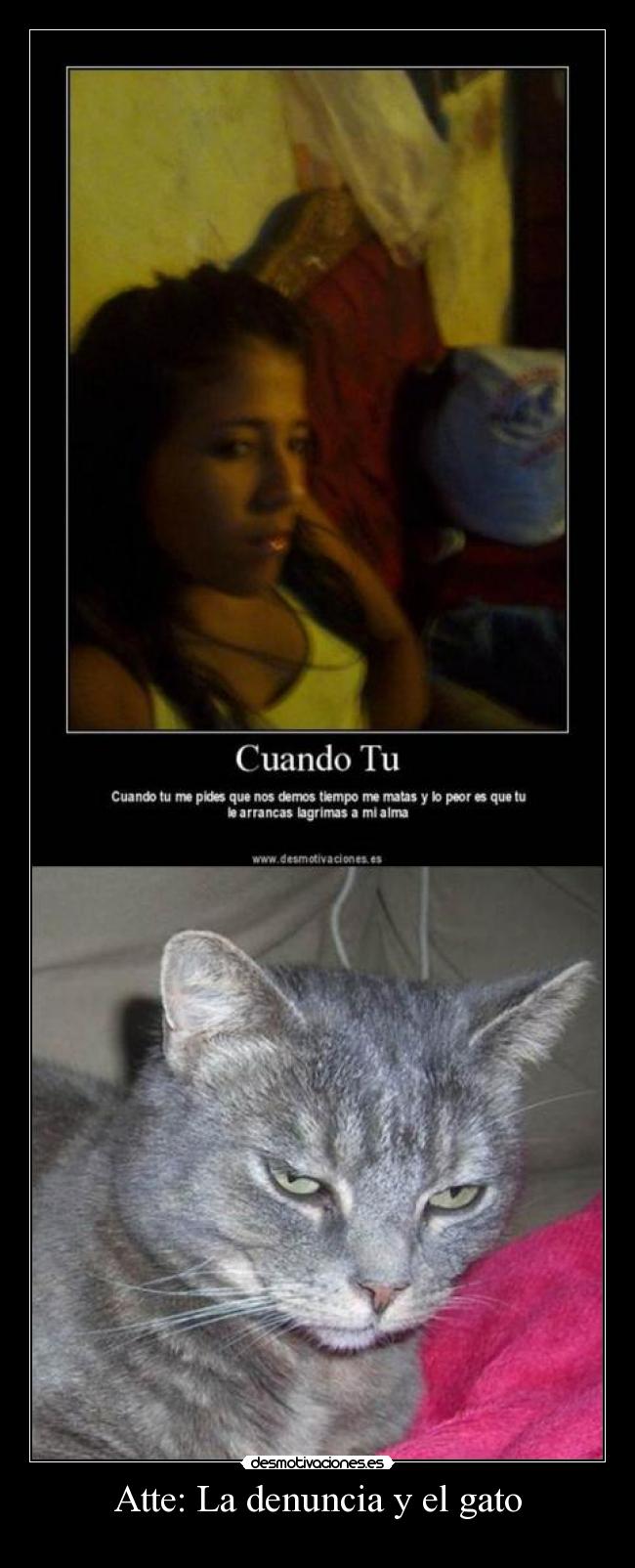 Atte: La denuncia y el gato - 