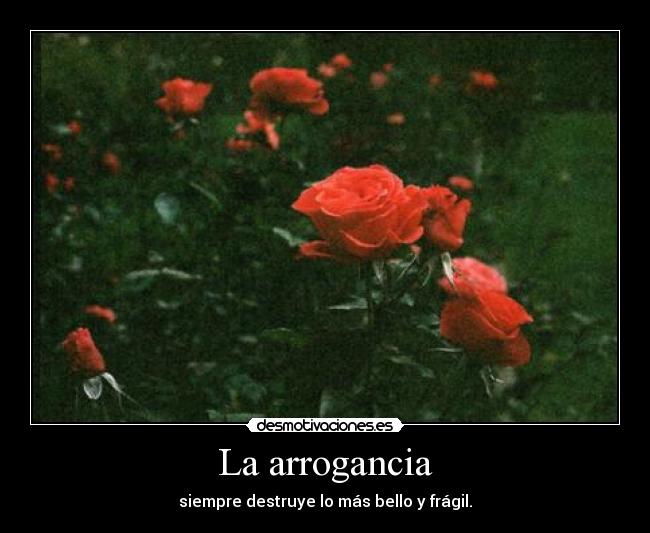La arrogancia - siempre destruye lo más bello y frágil.
