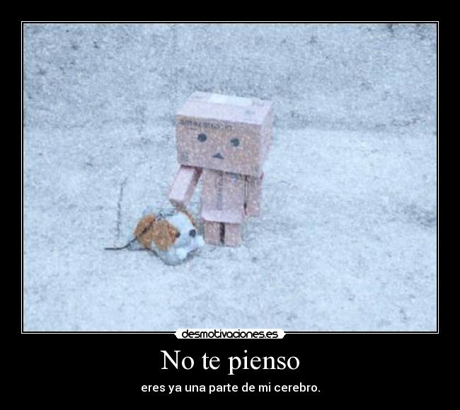 No te pienso -