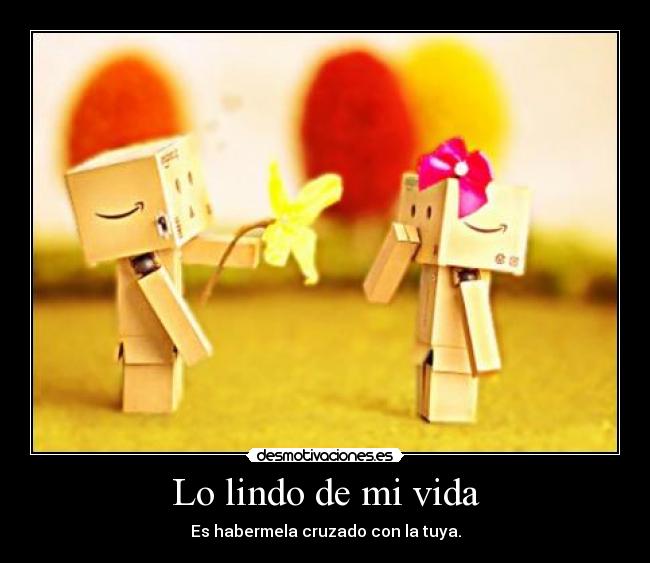 carteles vida lindo vida cruzar cruzado tuya desmotivaciones