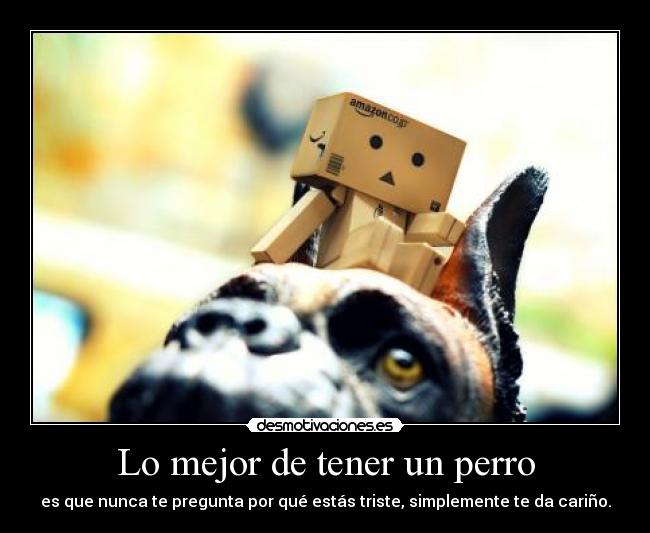 Lo mejor de tener un perro - 