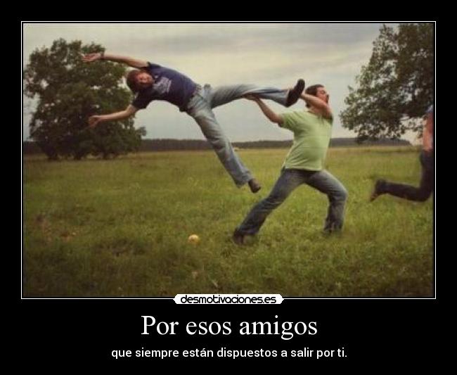 Por esos amigos - 