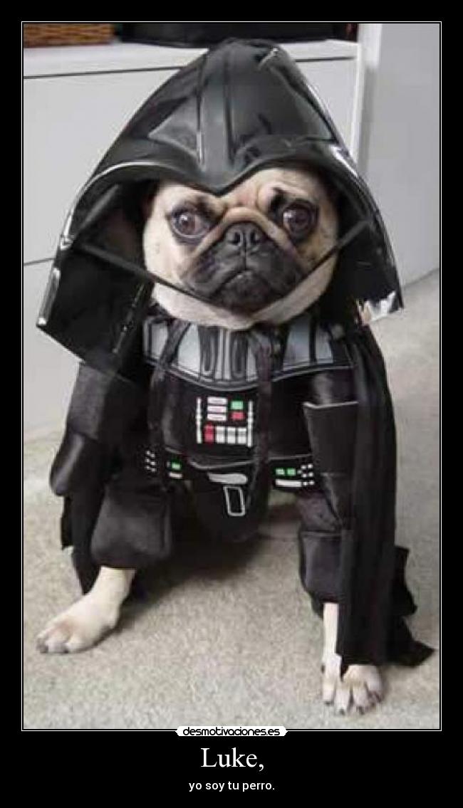 Luke, - yo soy tu perro.