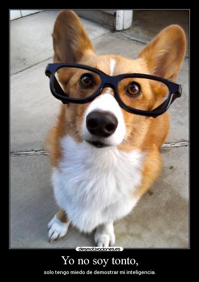 Yo no soy tonto, - solo tengo miedo de demostrar mi inteligencia.