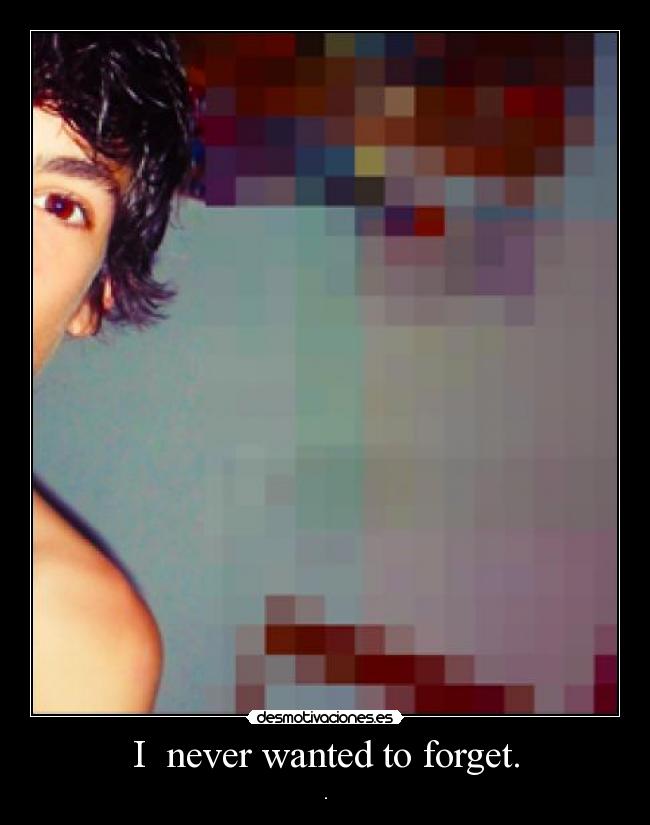 I  never wanted to forget. - 