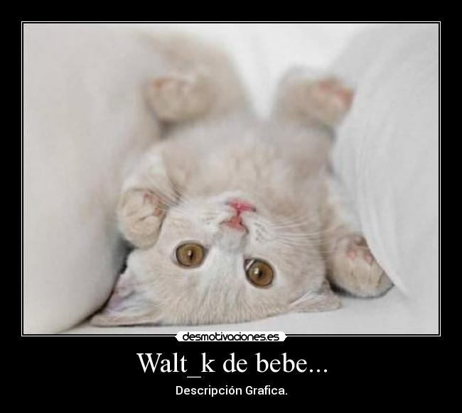 Walt_k de bebe... - 
