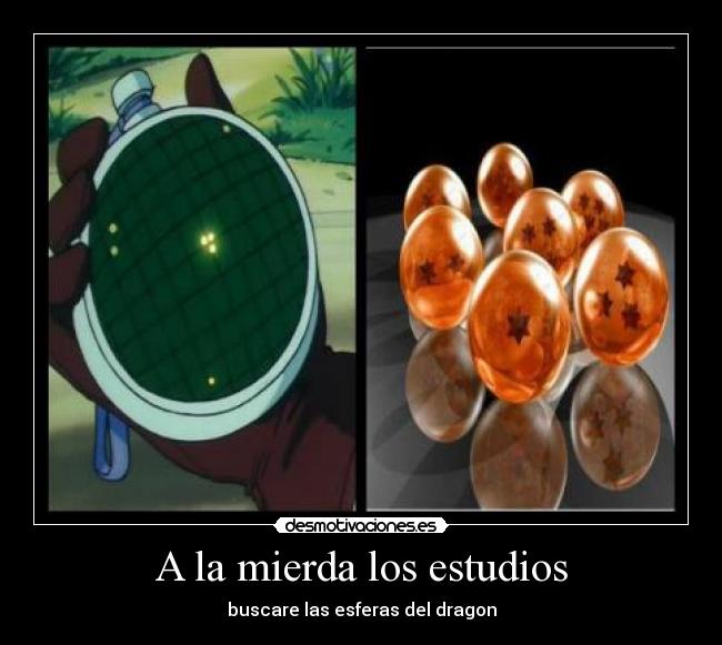 A la mierda los estudios - 