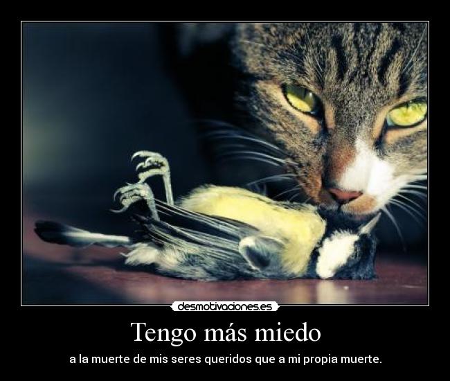 carteles miedo hola todo mundo menos los subnormales que mirais las etiquetas que den desmotivaciones