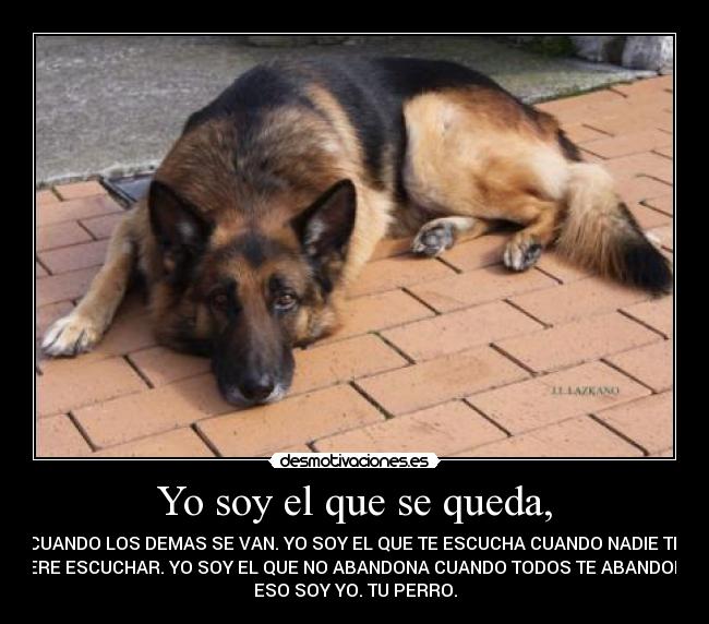 Yo soy el que se queda, - CUANDO LOS DEMAS SE VAN. YO SOY EL QUE TE ESCUCHA CUANDO NADIE TE
QUIERE ESCUCHAR. YO SOY EL QUE NO ABANDONA CUANDO TODOS TE ABANDONAN.
ESO SOY YO. TU PERRO.