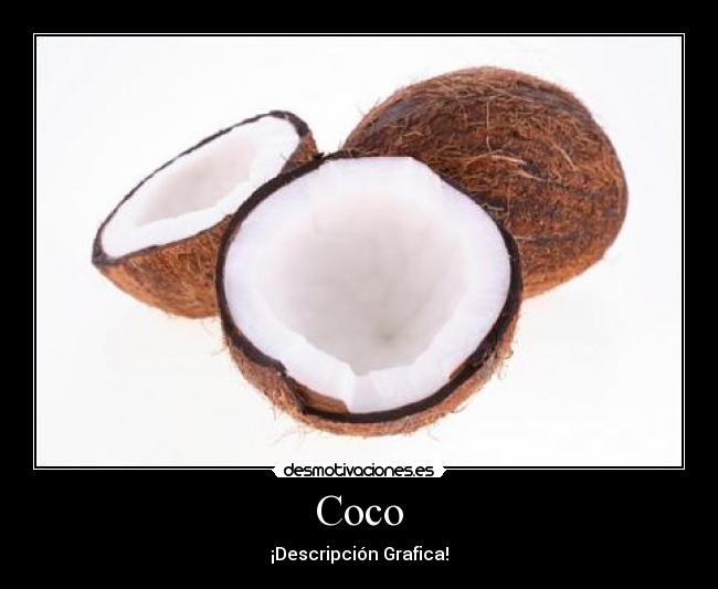 Coco - ¡Descripción Grafica!