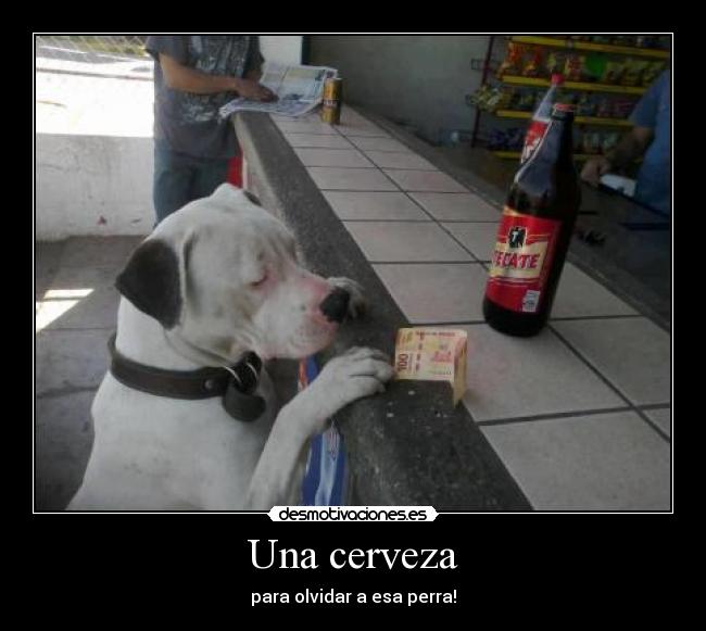 Una cerveza - para olvidar a esa perra!