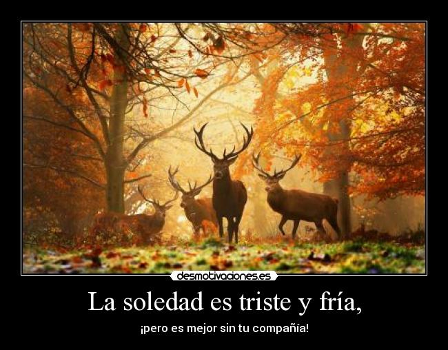 La soledad es triste y fría, - 