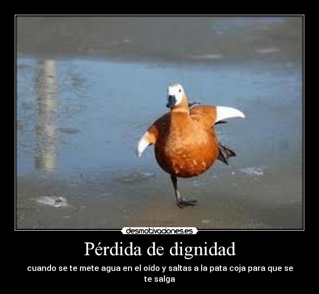 Pérdida de dignidad - cuando se te mete agua en el oído y saltas a la pata coja para que se te salga