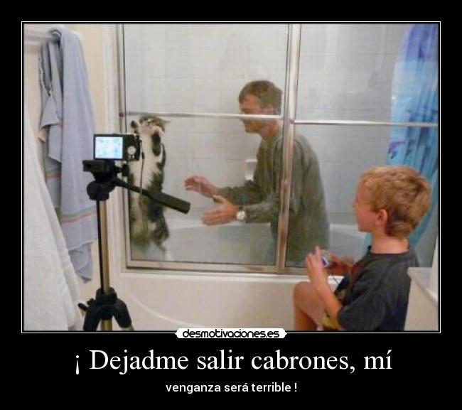 carteles laura rules anyi mas bonita frank lampard italia desmotivaciones