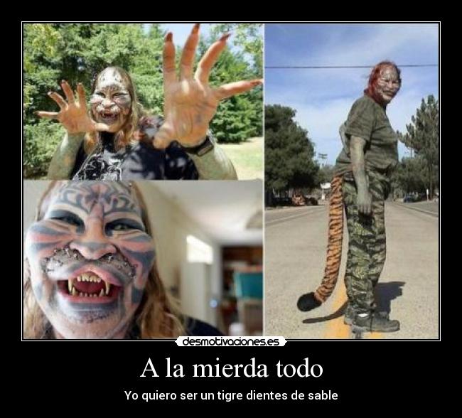 carteles gato desmotivaciones