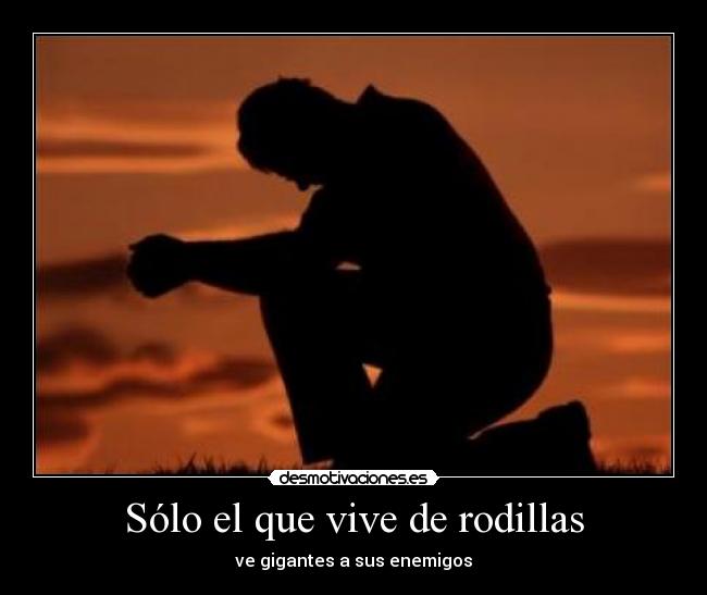 Sólo el que vive de rodillas - 