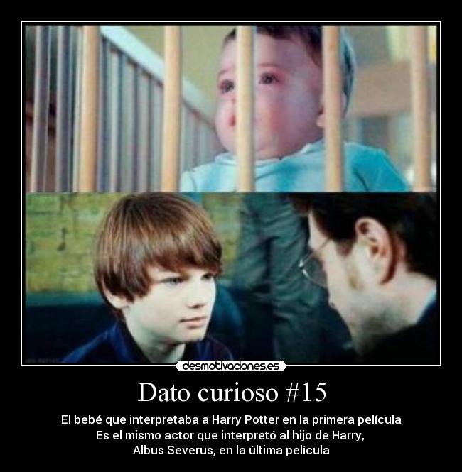 Dato curioso #15 - El bebé que interpretaba a Harry Potter en la primera película
Es el mismo actor que interpretó al hijo de Harry, 
Albus Severus, en la última película