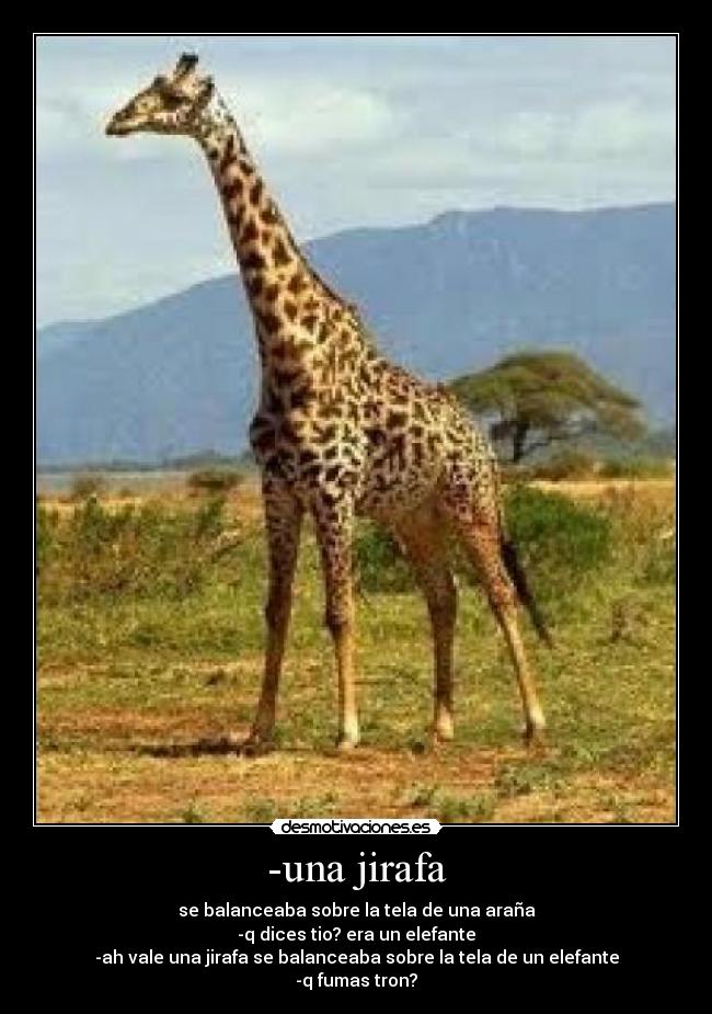 carteles jirafa desmotivaciones