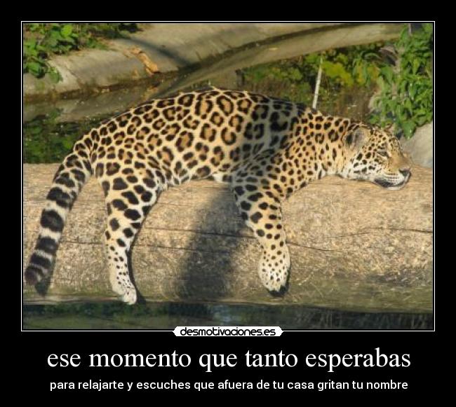 ese momento que tanto esperabas - 