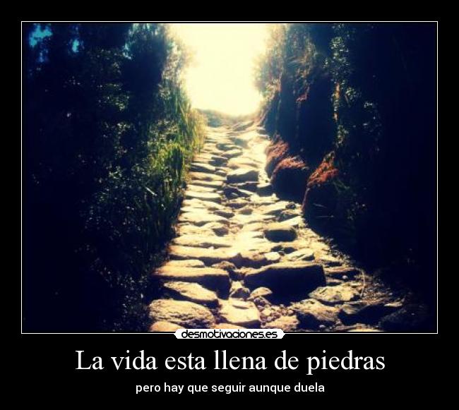 La vida esta llena de piedras - pero hay que seguir aunque duela