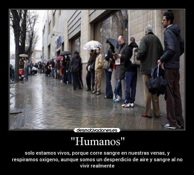 Humanos -