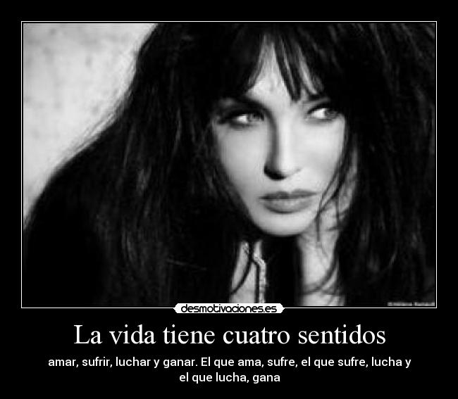 La vida tiene cuatro sentidos -