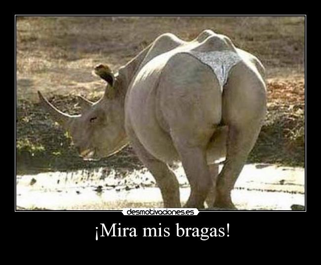 ¡Mira mis bragas! - 