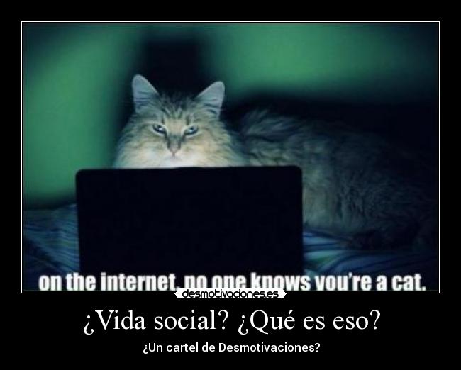 ¿Vida social? ¿Qué es eso? - 