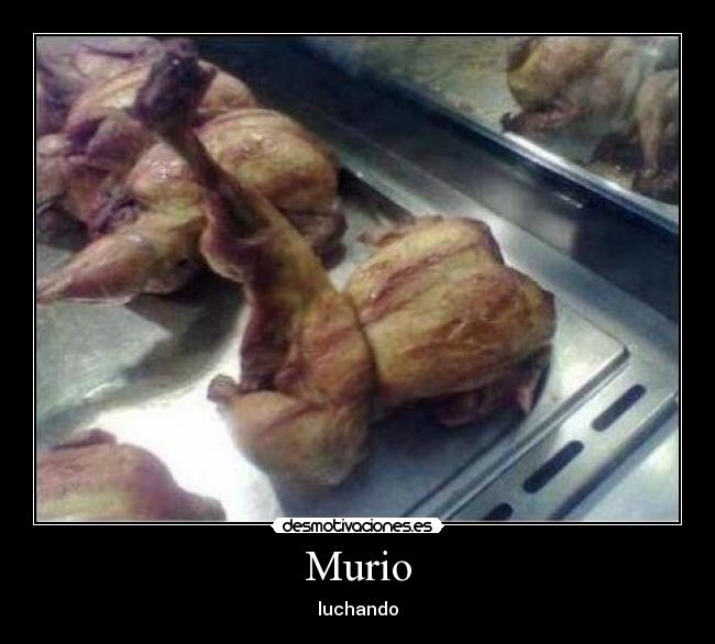 Murio -