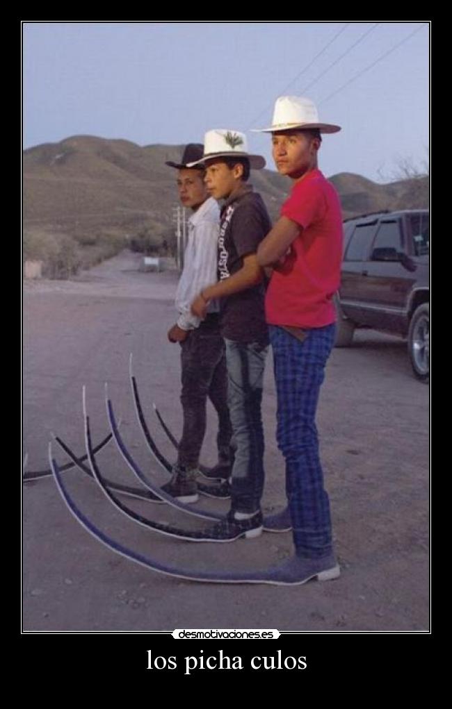 los picha culos - 