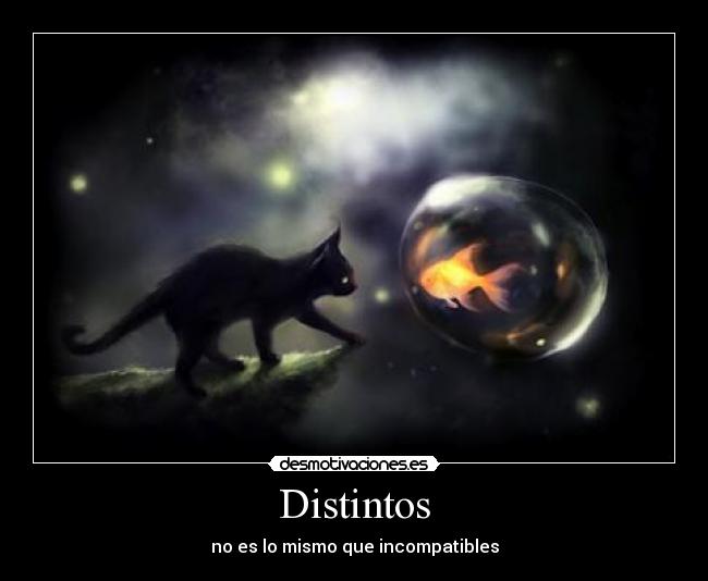Distintos -