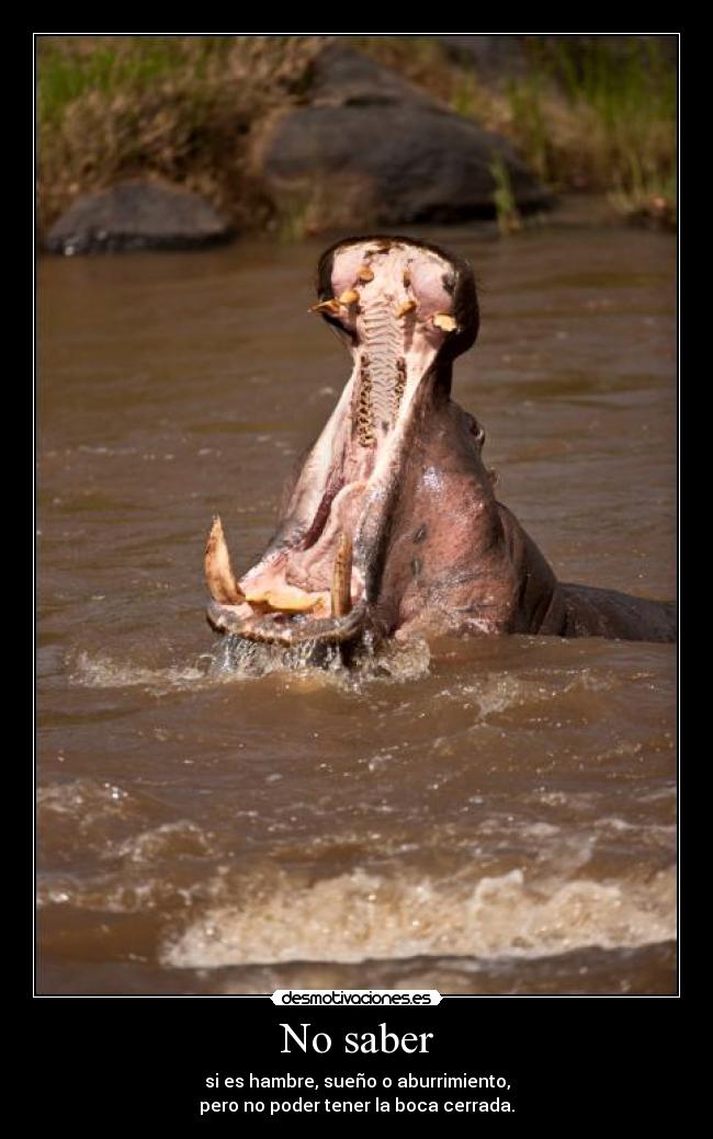 carteles bostezoooouuuuuahhhh desmo contagiaos desmotivaciones