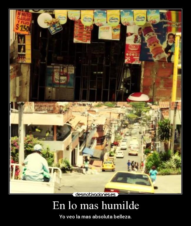 En lo mas humilde - Yo veo la mas absoluta belleza.