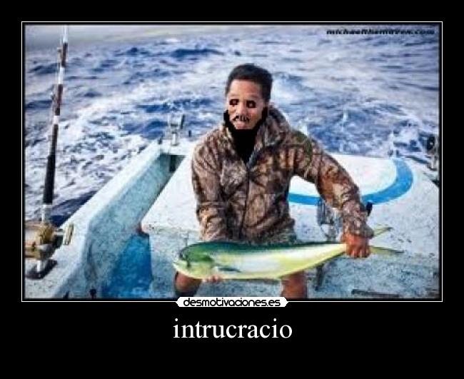 intrucracio - 
