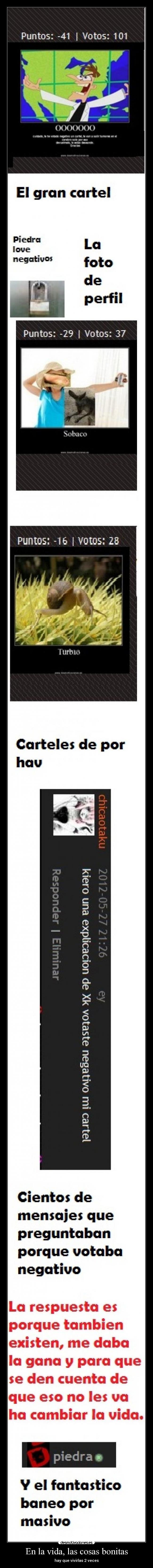 carteles vida tranquilos banearan por masivo todos mis votos iran mierda piedra desmotivaciones