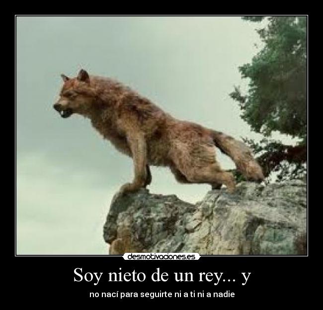 carteles estrellita palacios desmotivaciones