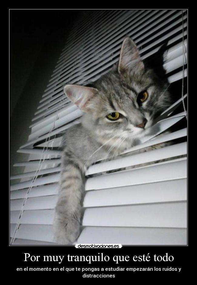 Por muy tranquilo que esté todo -