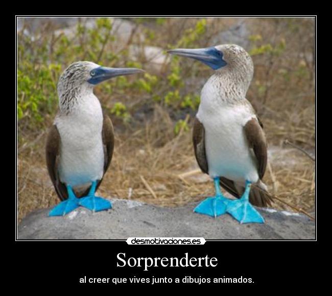 Sorprenderte - al creer que vives junto a dibujos animados.