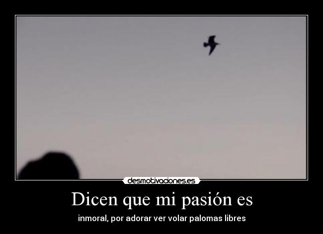 Dicen que mi pasión es - 