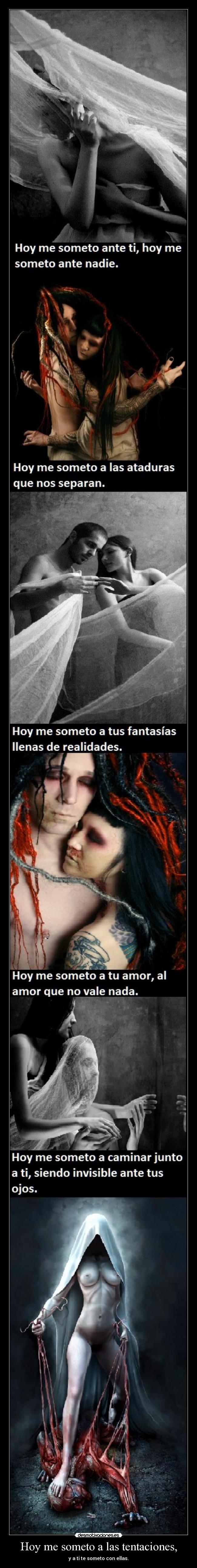 carteles amm desmotivaciones